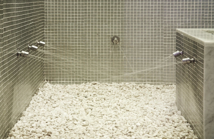 Imagen de la piscina del Hotel Coolrooms Palacio Villapanés 5 Gl. Foto 15