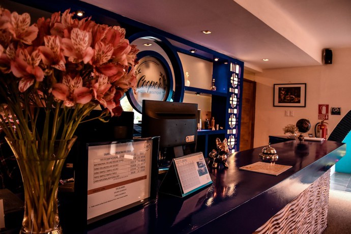 Imagen de los interiores del Hotel Cooper Boutique. Foto 19