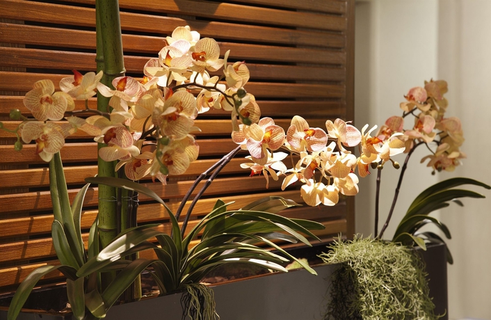 Imagen de los interiores del Hotel Copa Sul. Foto 15