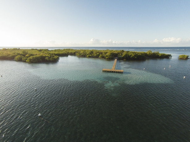 Imagen de los exteriores del Hotel Copamarina Beach Resort and Spa. Foto 13