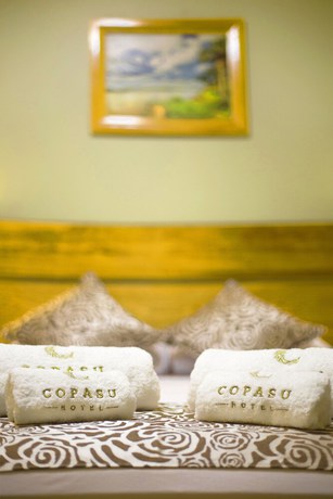 Imagen de la habitación del Hotel Copasu, Puerto Maldonado. Foto 12
