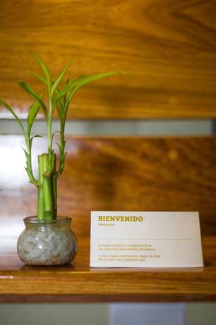 Imagen de la habitación del Hotel Copasu, Puerto Maldonado. Foto 14