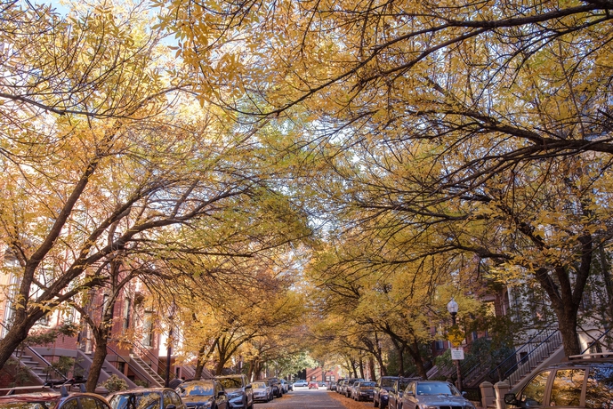 Imagen de los exteriores del Hotel Copley House. Foto 11