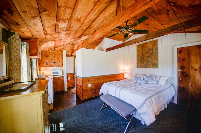Imagen de la habitación del Hotel Copper Swan. Foto 17