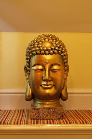 Imagen de los interiores del Hotel Copperfields Vegetarian Guest House. Foto 14