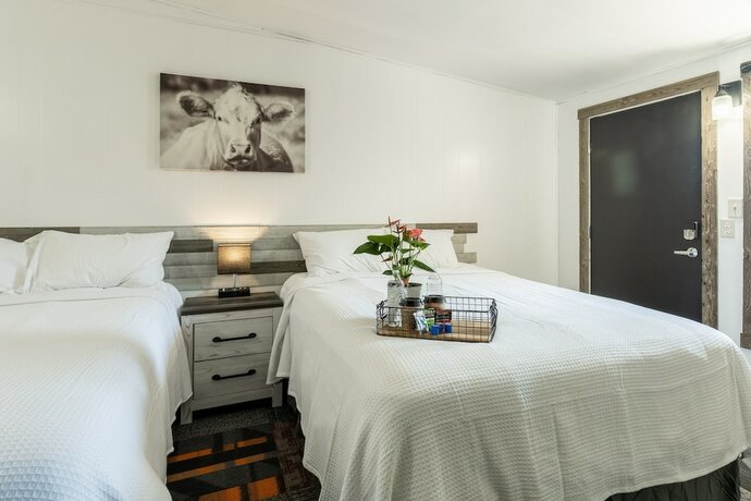 Imagen de la habitación del Hotel Copperhead Lodge. Foto 20