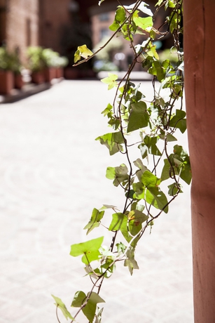 Imagen de los exteriores del Hotel Cora 127 Plenitud. Foto 5