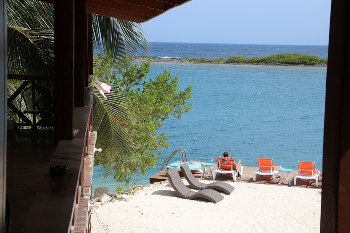 Imagen de la habitación del Hotel Coral Reef Beach Aruba. Foto 2