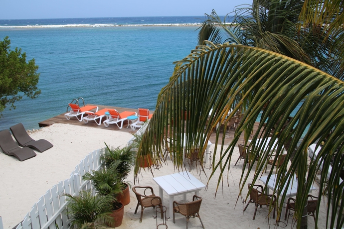 Imagen de la habitación del Hotel Coral Reef Beach Aruba. Foto 4