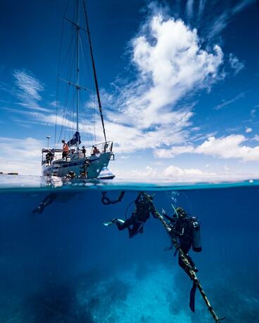 Imagen general del Hotel Coral Sea Dreaming Dive and Sail. Foto 3