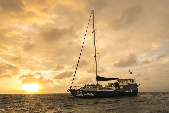 Imagen general del Hotel Coral Sea Dreaming Dive and Sail. Foto 5