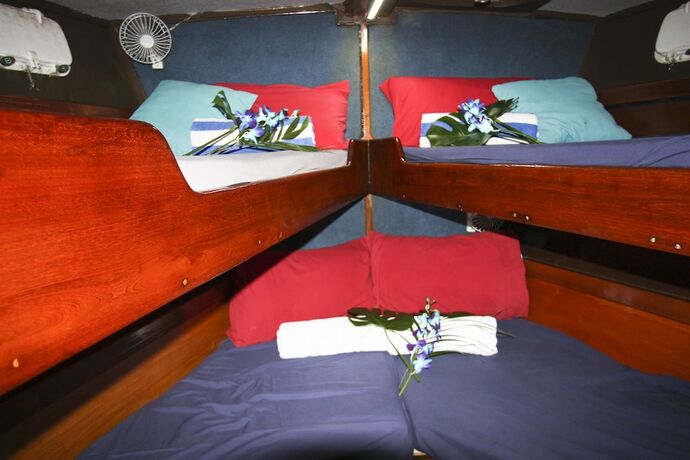 Imagen de la habitación del Hotel Coral Sea Dreaming Dive and Sail. Foto 19