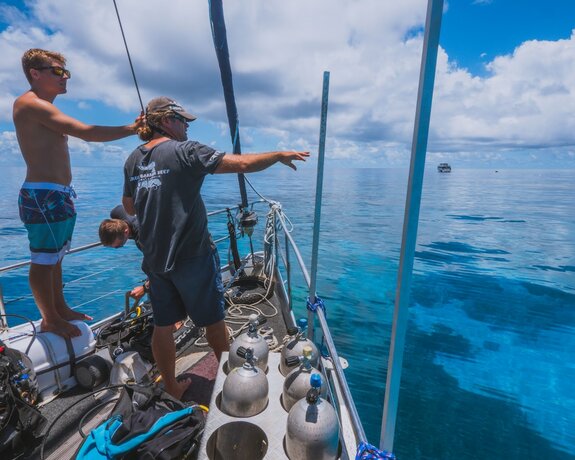 Imagen general del Hotel Coral Sea Dreaming Dive and Sail. Foto 15