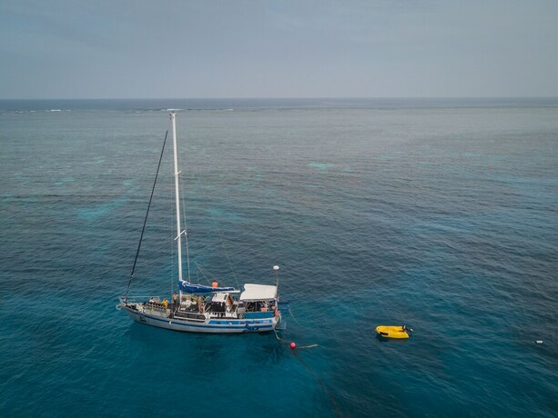 Imagen general del Hotel Coral Sea Dreaming Dive and Sail. Foto 17