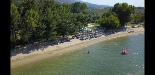 Imagen general del Hotel Coral, Skala Rachoniou. Foto 4