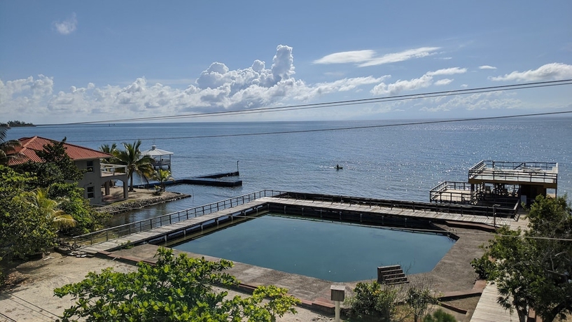 Imagen de la piscina del Hotel Coral View Beach Resort. Foto 16