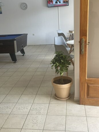 Imagen general del Hotel Coralli Beach. Foto 6
