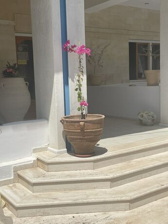 Imagen general del Hotel Coralli Beach. Foto 10