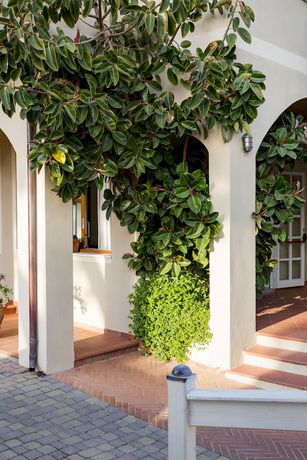 Imagen de los interiores del Hotel Corallo, Marciana. Foto 18