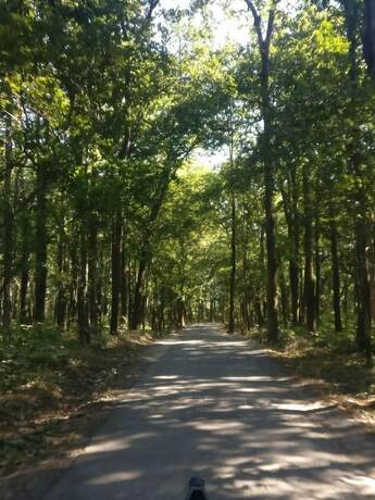 Imagen general del Hotel Corbett Mist Resort. Foto 19