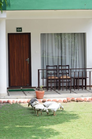 Imagen de la habitación del Hotel Corbett Paradiso by ILILA. Foto 17