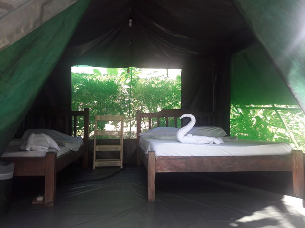 Imagen de la habitación del Hotel Corcovado Adventures Tent Camp. Foto 2