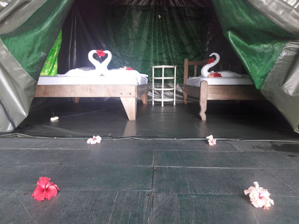 Imagen de la habitación del Hotel Corcovado Adventures Tent Camp. Foto 4