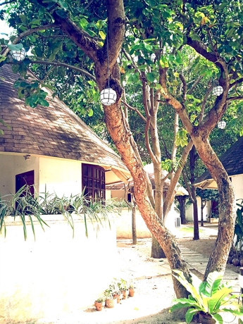 Imagen de los exteriores del Hotel Cordova Reef Village Resort. Foto 16