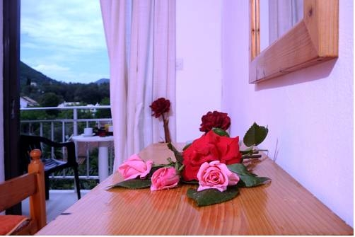 Imagen general del Hotel Corfu Villa Rainbow. Foto 2