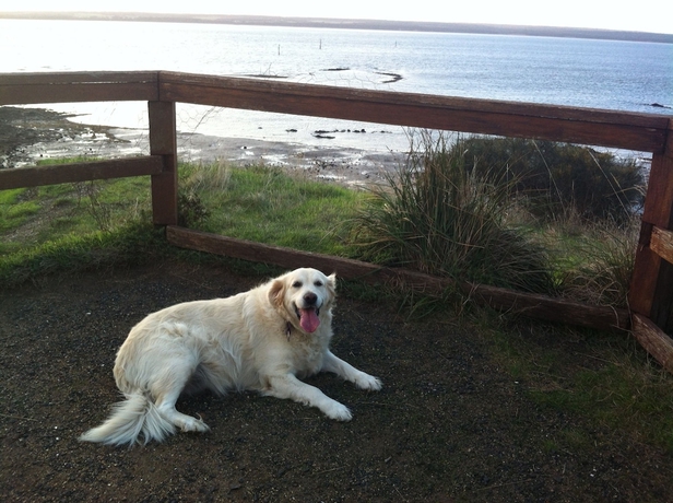 Imagen general del Hotel Corinella On The Esplanade Bed and Breakfast. Foto 2