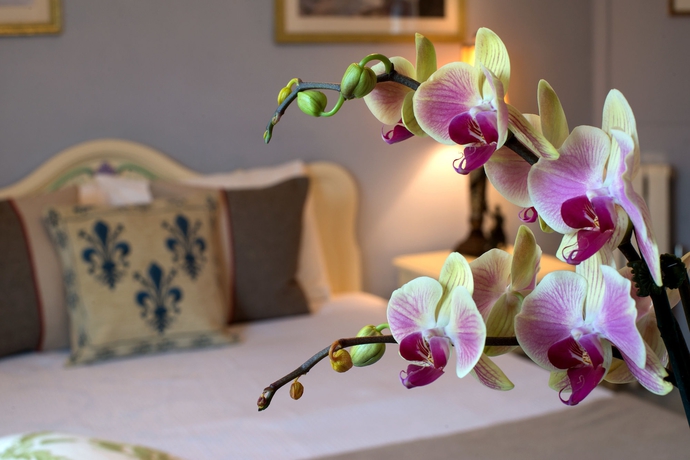 Imagen de la habitación del Hotel Cornell De France. Foto 4