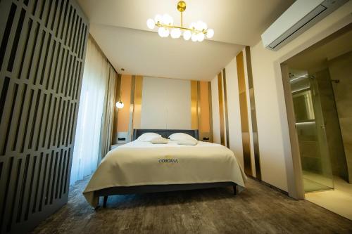 Imagen general del Hotel Coroana, Iasi. Foto 17