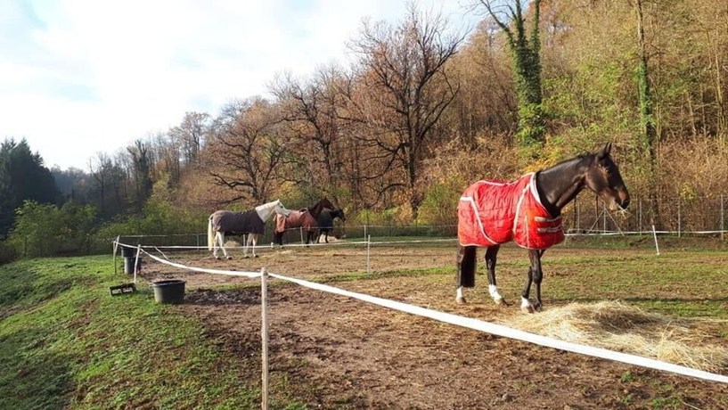 Imagen general del Hotel Corona, Cuvio. Foto 2