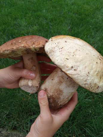 Imagen general del Hotel Corona, Cuvio. Foto 3