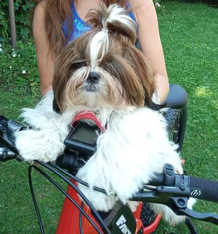 Imagen general del Hotel Corona, Cuvio. Foto 8