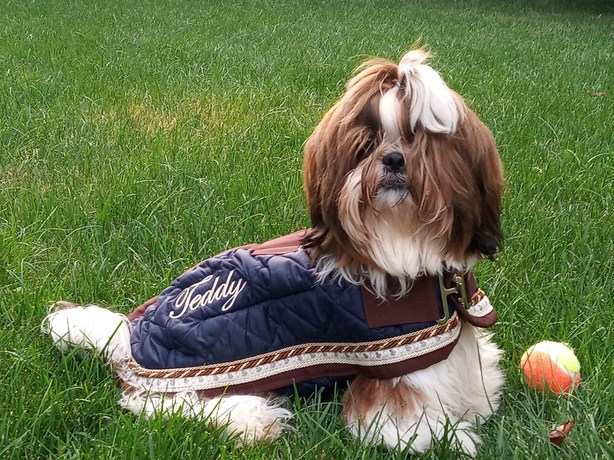 Imagen general del Hotel Corona, Cuvio. Foto 9