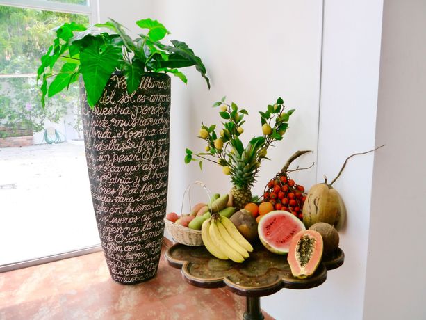 Imagen de los interiores del Hotel Coronado Inn, Boquete. Foto 11