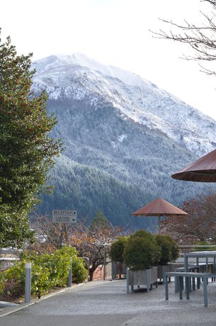 Imagen del bar/restaurante del Hotel Coronation Lodge. Foto 5