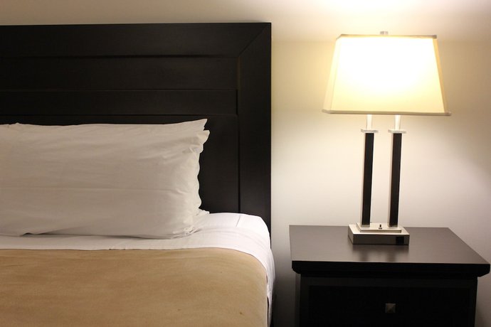 Imagen de la habitación del Hotel Coronet Prince Albert. Foto 14