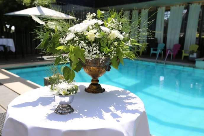 Imagen de la piscina del Hotel Cors. Foto 17