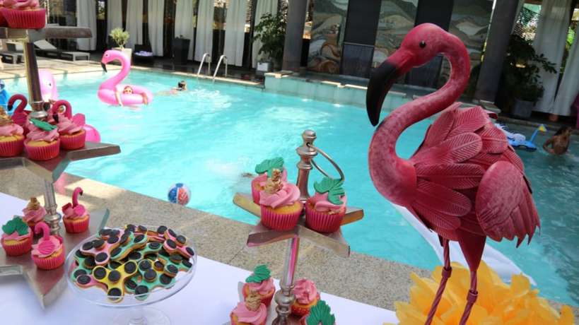 Imagen de la piscina del Hotel Cors. Foto 20