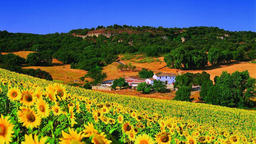 Imagen de los exteriores del Hotel Cortijo Las Piletas. Foto 6