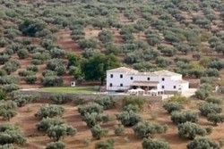 Imagen de los exteriores del Hotel Cortijo Piltraque. Foto 6