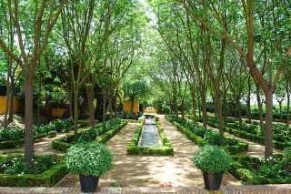 Imagen del Hotel Cortijo Torre De La Reina. Foto 4