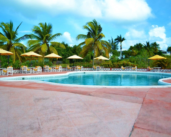 Imagen de la piscina del Hotel Cortsland. Foto 16