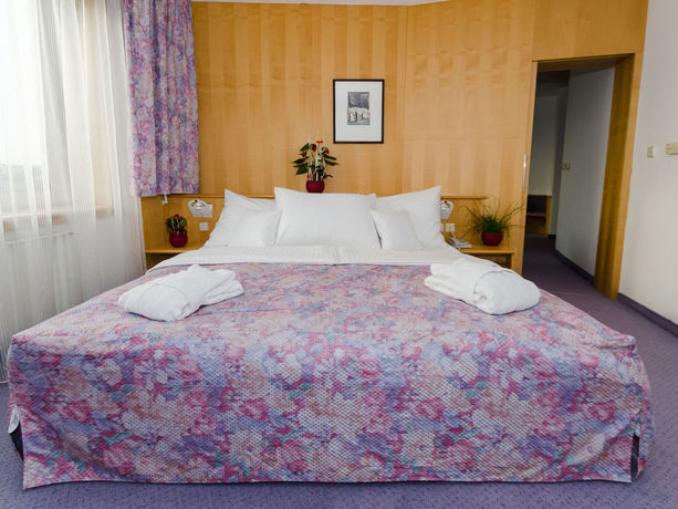 Imagen de la habitación del Hotel Cosmopolitan Bobycentrum. Foto 6