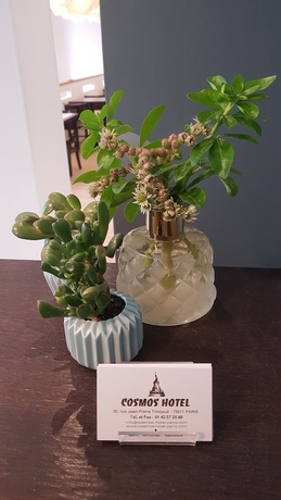 Imagen de los interiores del Hotel Cosmos, Bastille-Repúblique. Foto 14