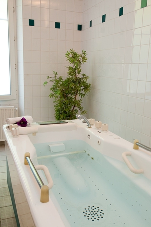 Imagen de la piscina del Hotel Cosmos and Spa. Foto 14