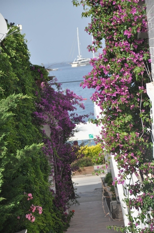 Imagen de los exteriores del Hotel Costa Blu Bodrum. Foto 11