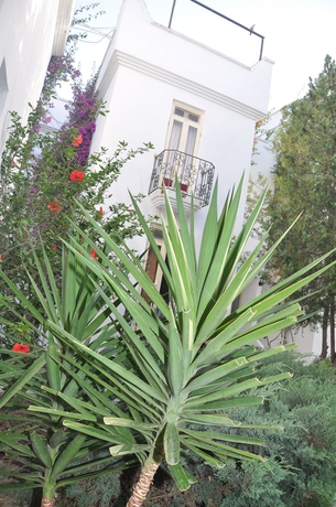 Imagen de los exteriores del Hotel Costa Blu Bodrum. Foto 12